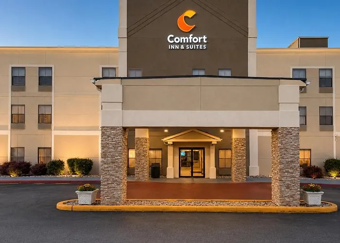 Comfort & - Chicago Southland Hotel