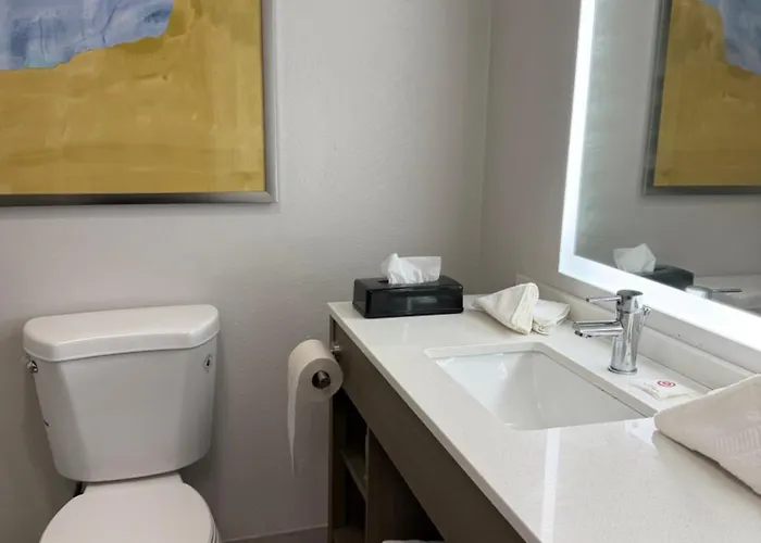 Hotel Comfort & - Chicago Southland 2*