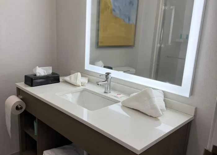 Hotel Comfort & - Chicago Southland 2*